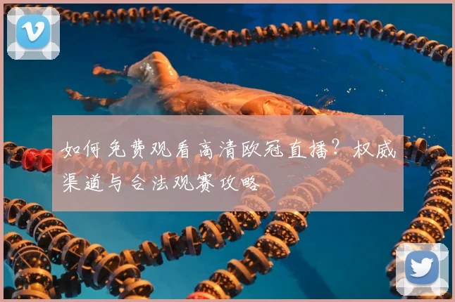 如何免费观看高清欧冠直播？权威渠道与合法观赛攻略