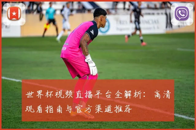 世界杯视频直播平台全解析：高清观看指南与官方渠道推荐