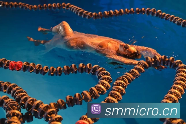 人人体育直播平台生态图